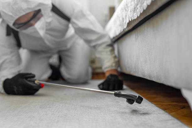 Professional Bed Bug Control technician working in Chester Center, CT
