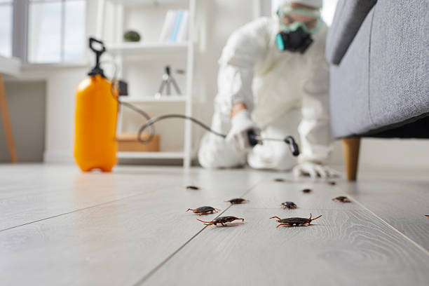 Trusted Mosquito Control service in Chester Center, CT - Nex Pest Control