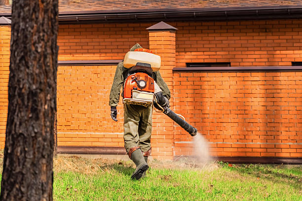 Trusted Ant Control service in Chester Center, CT - Nex Pest Control